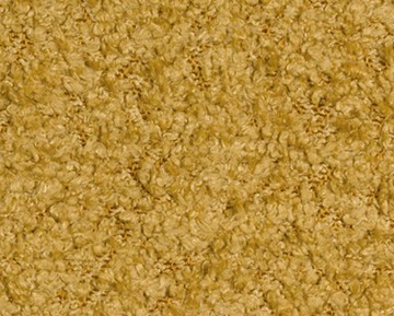 cage-009.jpg